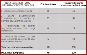 Index égalité Femmes Hommes 2022 HAFA